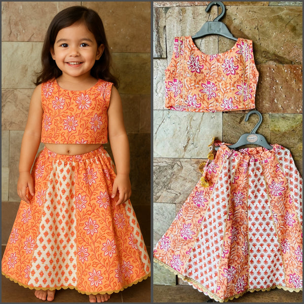 Lehanga choli set-S467