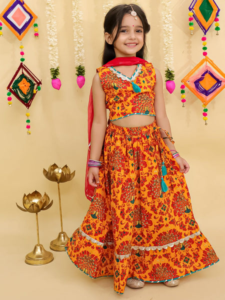 Lehanga Choli And Dupatta Set-S1077