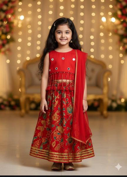 Lehanga Choli Set