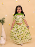 Lehanga Choli And Dupatta Set-S1810
