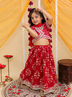 Designer Lehanga Choli And Dupatta Set-S1139