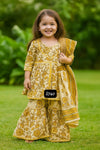 Kurti Sharara And Dupatta Set 🌼-S740