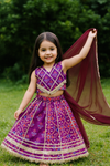 Lehanga Choli And Dupatta Set-S1081