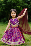 Lehanga Choli And Dupatta Set-S1081