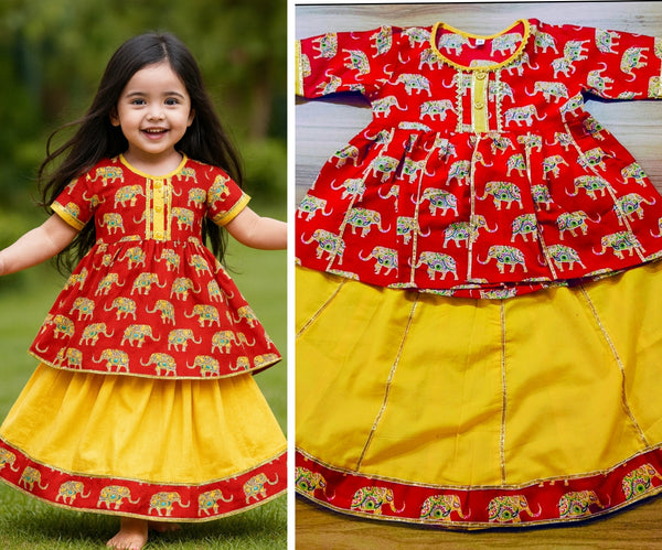 Kurti and lehanga set-S2081