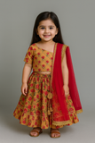 Lehanga choli set-S2077
