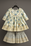 Kurti And Sharara Set bird 🕊️-S531