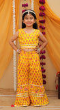Shrug Choli And Sharara Set-S817