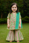 Angarakha sharara and dupatta set-S1590