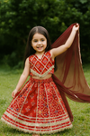 Lehanga Choli And Dupatta Set-S1080