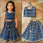 Lehanga choli set-S468
