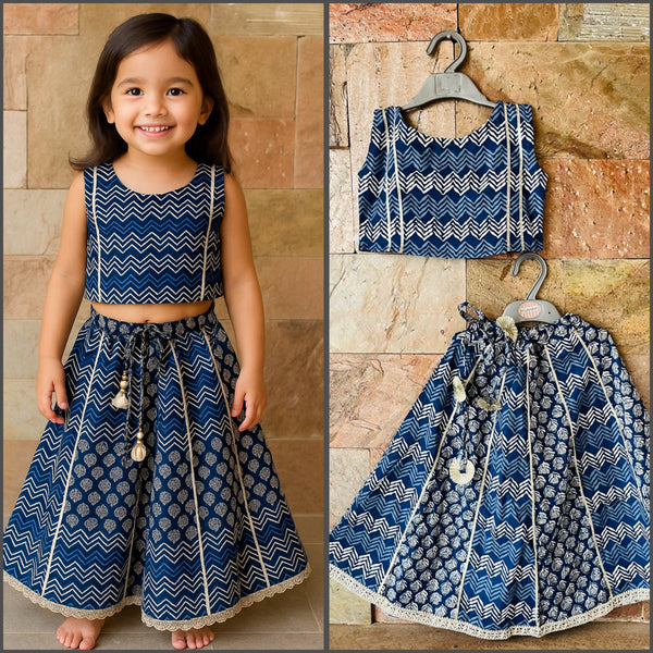 Lehanga choli set-S468