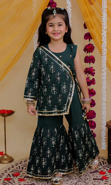 Shrug Choli And Sharara Set-S2243