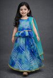 Lehanga choli set-S960