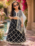 Designer lehanga choli and Dupatta Set 🖤-S2060