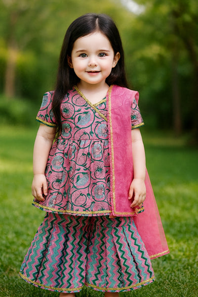 Angarakha sharara and dupatta set-S1591