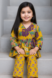 ANGARAKHA AND PANT SET