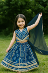 Lehanga Choli And Dupatta Set-S1082