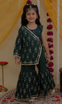 Shrug Choli And Sharara Set