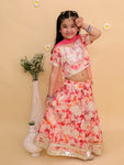 Lehanga Choli And Dupatta Set-S1813