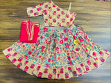 Lehanga choli set-S2077