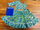 Lehanga choli set-S2080